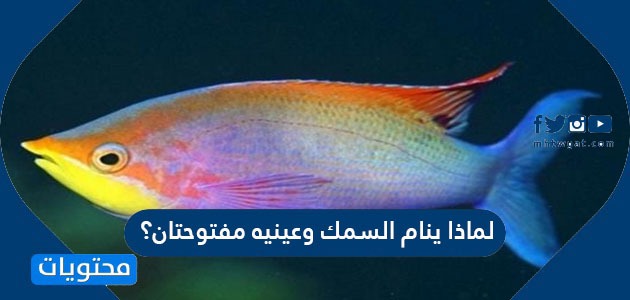 تعتبر الأسماك من الفقاريات متغيرة درجة الحرارة التي تتغير حرارة أجسامها حسب البيئة المحيطة بها