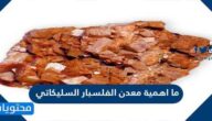 ما اهمية معدن الفلسبار السليكاتي