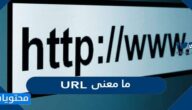 ما معنى url