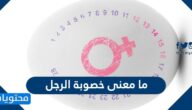 ما معنى خصوبة الرجل