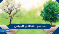 ما هو النظام البيئي