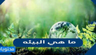 ما هي البيئه