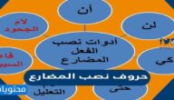 ما هي حروف نصب المضارع