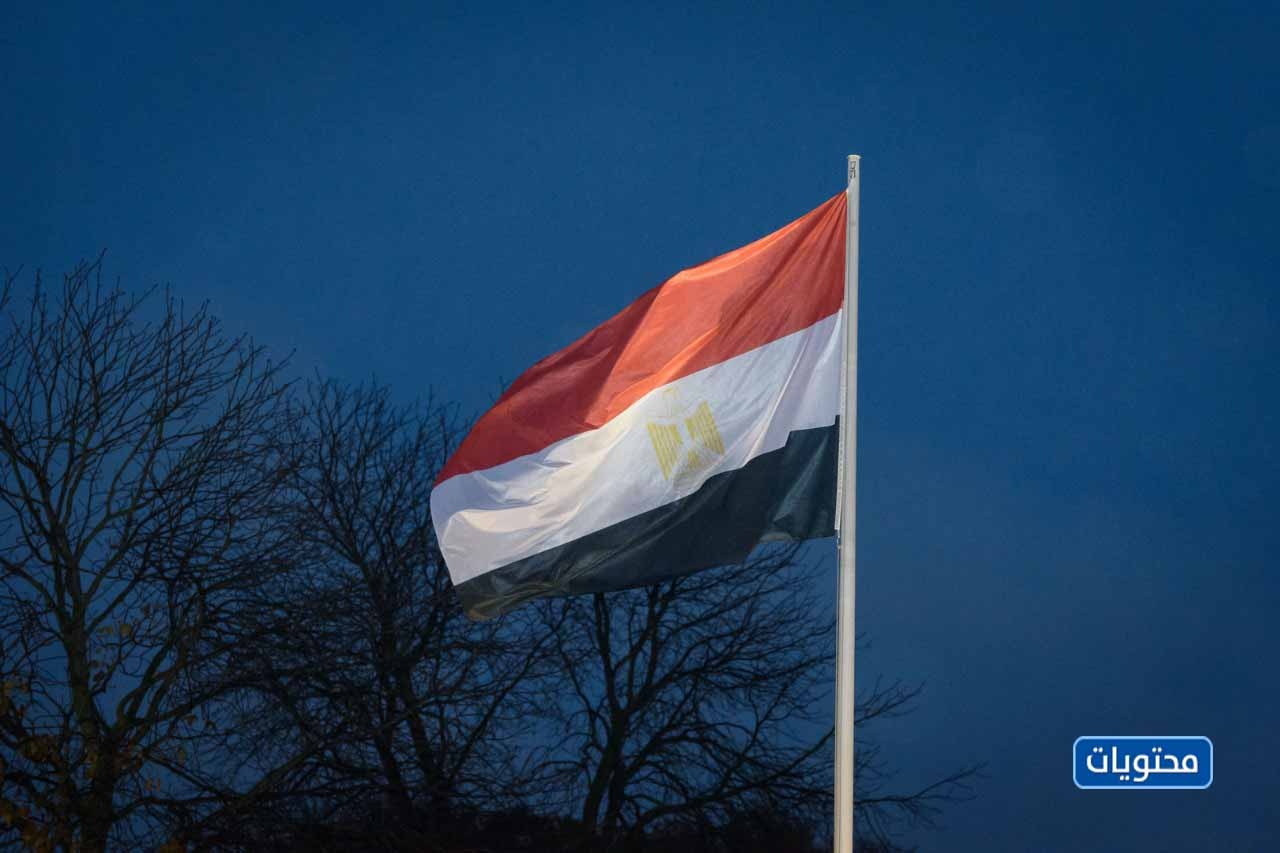 علم جمهورية مصر العربية