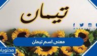 معنى اسم تيمان وصفات حامل الاسم وحكم التسمية به في الإسلام