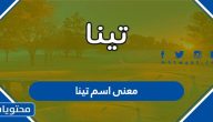 معنى اسم تينا وصفات حاملة الاسم وحكم التسمية به في الإسلام