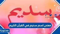 معنى اسم سديم في القرآن الكريم
