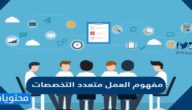 مفهوم العمل متعدد التخصصات