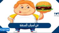 من اسباب السمنه