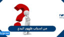 من اسباب ظهور البدع
