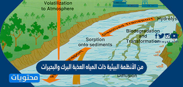 الأنظمة البيئية المائية