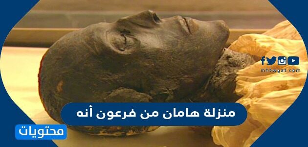 منزلة هامان من فرعون أنه