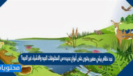 نجد نظام بيئي صغير يحتوى على أنواع عديده من المخلوقات الحيه والاشياء غير الحيه صح أم خطأ