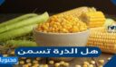 هل الذرة تسمن