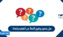 هل يتصور وقوع الخطأ من الفقيه ولماذا