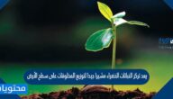يعد تركز النباتات الخضراء مشيرا جيدا لتوزيع المخلوقات على سطح الأرض