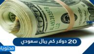 ٢٠ دولار كم ريال سعودي