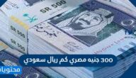٣٠٠ جنيه مصري كم ريال سعودي
