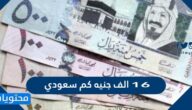 16 الف جنيه كم سعودي