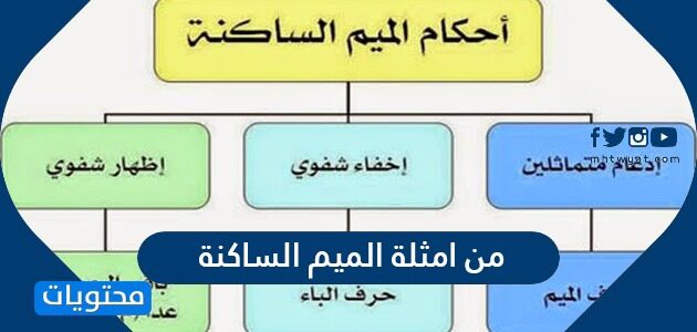 من امثلة الميم الساكنة