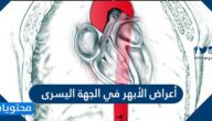 أعراض الأبهر في الجهة اليسرى