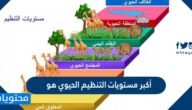 أكبر مستويات التنظيم الحيوي هو