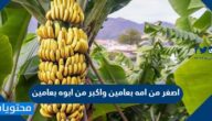 اصغر من امه بعامين واكبر من ابوه بعامين