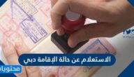 خطوات الاستعلام عن حالة الإقامة دبي 2026