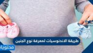 طريقة الاندنوسيات لمعرفة نوع الجنين