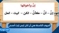 الحروف الناسخة هي أن لكن ليس ليت أمسى