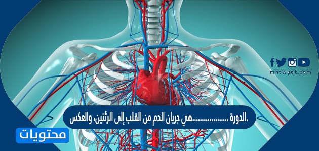 الدورة ……………….هي جريان الدم من القلب إلى الرئتين، والعكس.