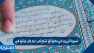 السورة التي ورد في فضلها أنها تشفع لمن داوم على قراءتها هي