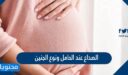 الصداع عند الحامل ونوع الجنين