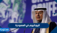 تفاصيل وجود كميات كبيرة من اليورانيوم في السعودية حسب تصريحات وزير الطاقة السعودي