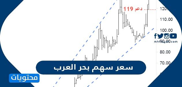 كم سعر سهم بحر العرب 2022 وتفاصيل التداول
