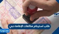 خطوات تقديم طلب استرحام مخالفات الإقامة دبي