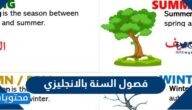 فصول السنة بالانجليزي بالترتيب وكيفية النطق بها