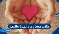 كلام جميل عن الحياة والحب