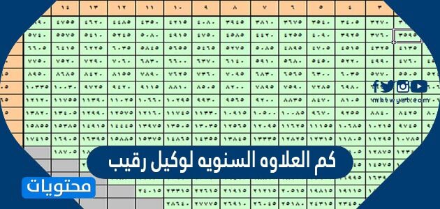 كم العلاوه السنويه لوكيل رقيب 2025