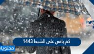 كم باقي على الشبط 1443