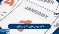 كم يوم في شهر يناير