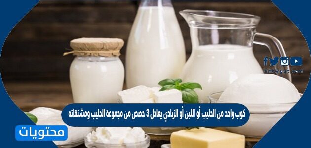 كوب واحد من الحليب أو اللبن أو الزبادي يعادل 3 حصص من مجموعة الحليب ومشتقاته صح أم خطأ