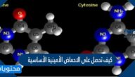 كيف تحصل على الاحماض الأمينية الأساسية 