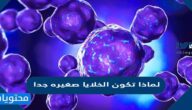 لماذا تكون الخلايا صغيره جدا