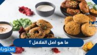 ما هو اصل الفلافل ؟