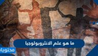ما هو علم الانثروبولوجيا
