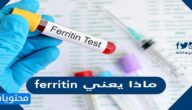 ماذا يعني ferritin