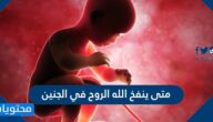 متى ينفخ الله الروح في الجنين