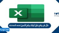 مثال على برنامج جداول البيانات برنامج الاكسيل.microsoft excel