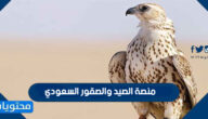 رابط منصة الصيد والصقور السعودي sfc.org.sa